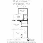 10 Woodbine Apt 1