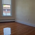 217-Dewey-St-Apt-3R-2020-10
